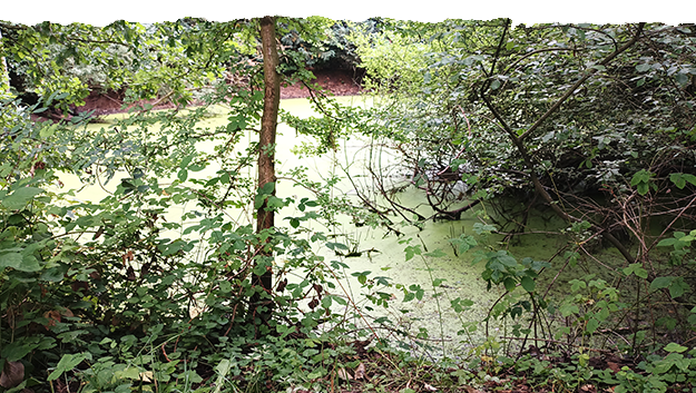 Sitzplatz Sitzplatz in der Natur
