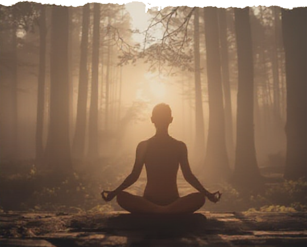 Waldyoga Waldyoga